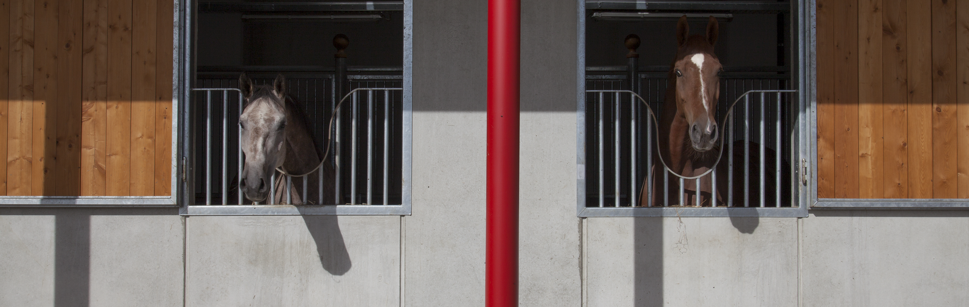 © PH. DONATELLA SIMONETTI