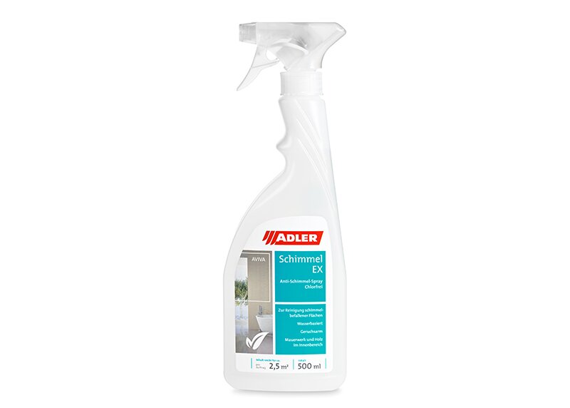 Remove fungus from the wall and prevent its formation